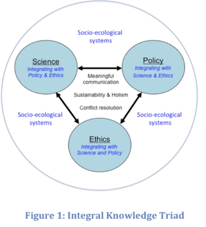 Theoretical Framework Relational Science 7223